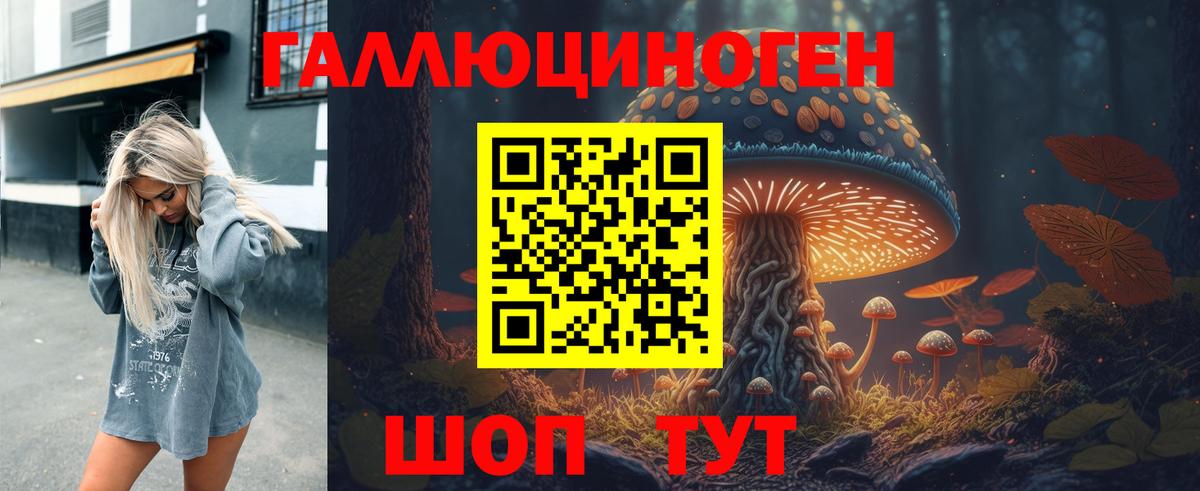 Асино  Псилоцибиновые грибы Magic Shrooms  Вход с VPN 